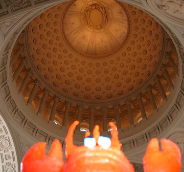 Zippy Under The Dome