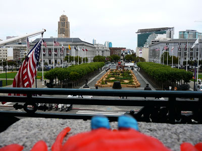 Zippy On The Balcony