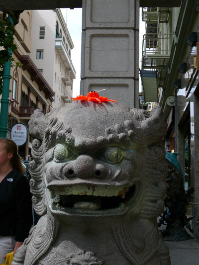 Zippy Foo Dogs