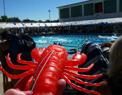 Zippy At League Meet
