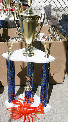 The Winner!