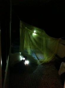 Mosquito netting copyright doc gurley 2010