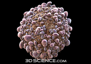 cells_cancer_web.jpg