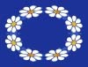 daisy_chain.jpg