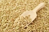 grains.jpg