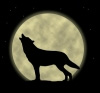 wolf.jpg